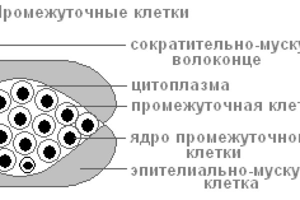 Кракен доставка