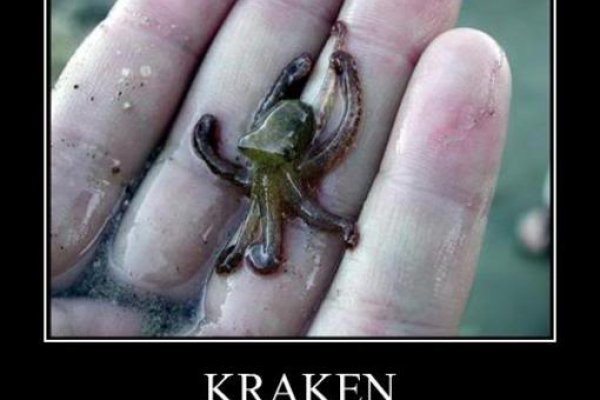 Kraken9.at